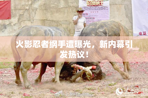 火影忍者纲手遭曝光，新内幕引发热议！
