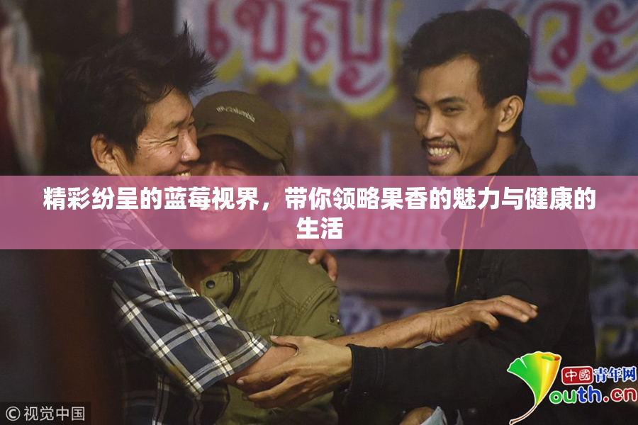精彩纷呈的蓝莓视界，带你领略果香的魅力与健康的生活