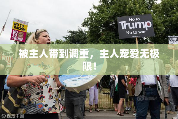 被主人带到调重，主人宠爱无极限！