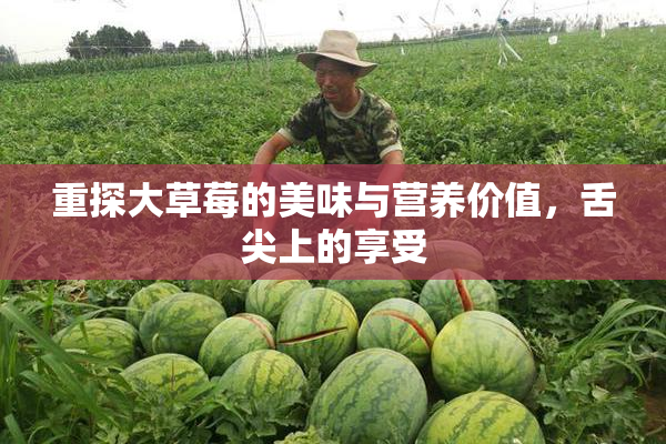 重探大草莓的美味与营养价值，舌尖上的享受