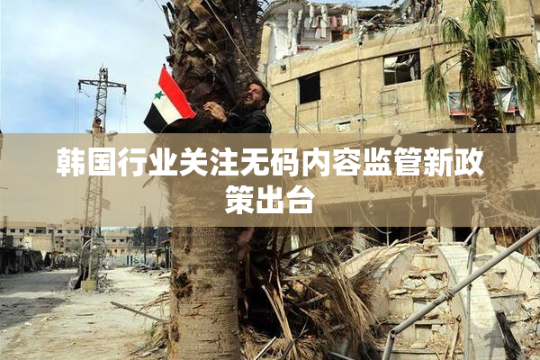 韩国行业关注无码内容监管新政策出台
