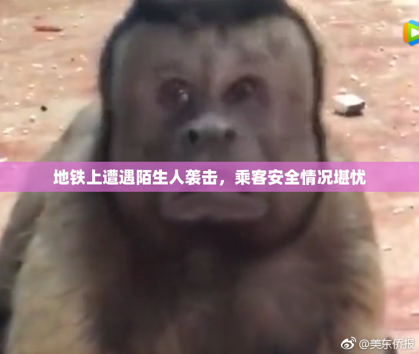 地铁上遭遇陌生人袭击，乘客安全情况堪忧