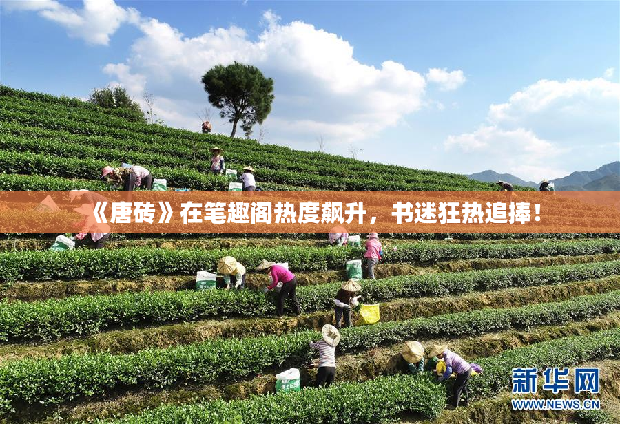 《唐砖》在笔趣阁热度飙升，书迷狂热追捧！