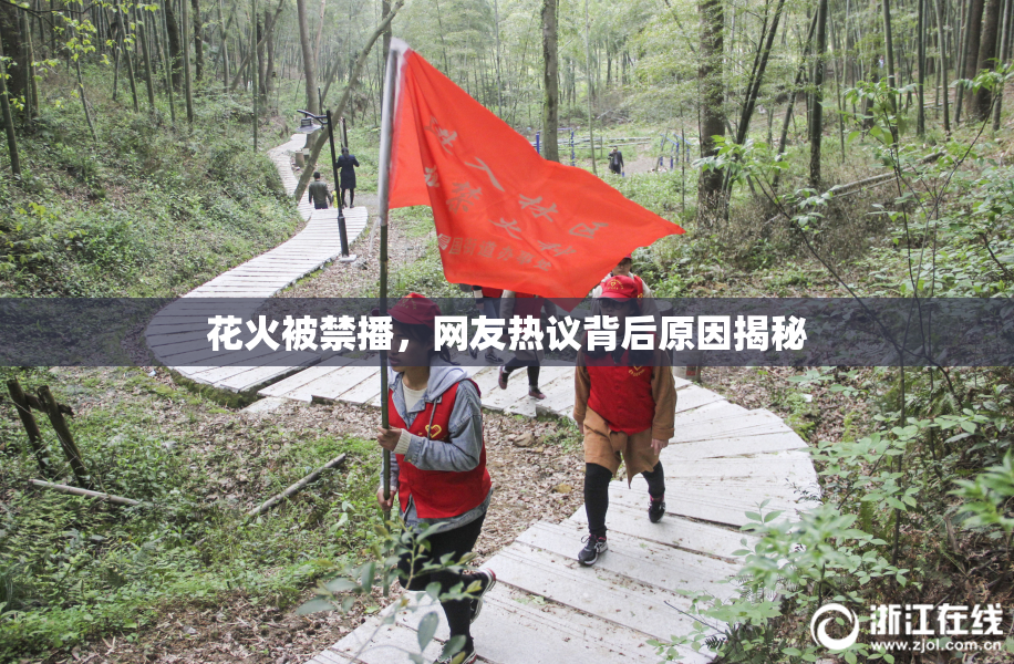 花火被禁播，网友热议背后原因揭秘