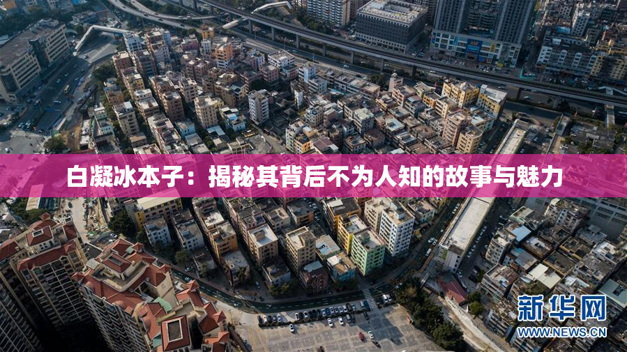 白凝冰本子：揭秘其背后不为人知的故事与魅力