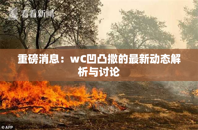 重磅消息：wC凹凸撒的最新动态解析与讨论