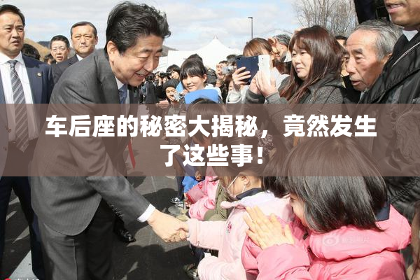 车后座的秘密大揭秘，竟然发生了这些事！