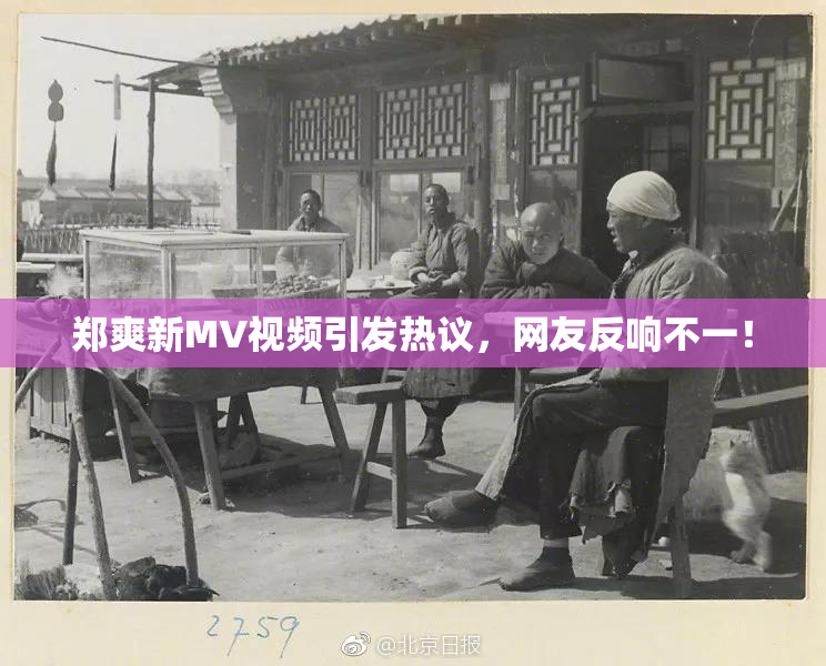 郑爽新MV视频引发热议，网友反响不一！