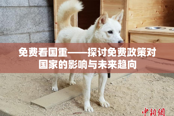 免费看国重——探讨免费政策对国家的影响与未来趋向