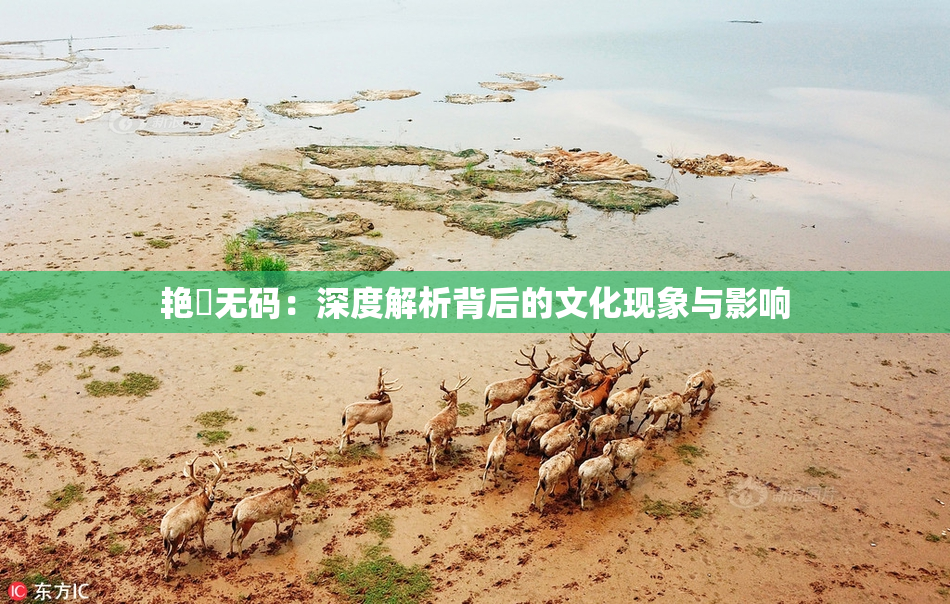 艳鉧无码：深度解析背后的文化现象与影响