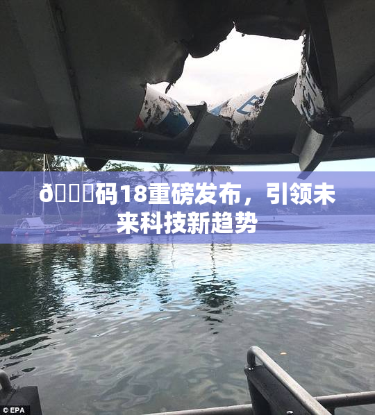 🈚码18重磅发布，引领未来科技新趋势