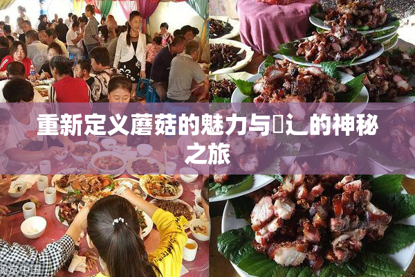 重新定义蘑菇的魅力与喿辶的神秘之旅