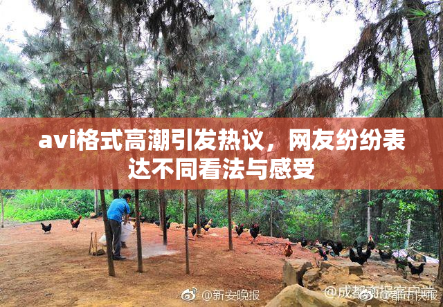 avi格式高潮引发热议，网友纷纷表达不同看法与感受
