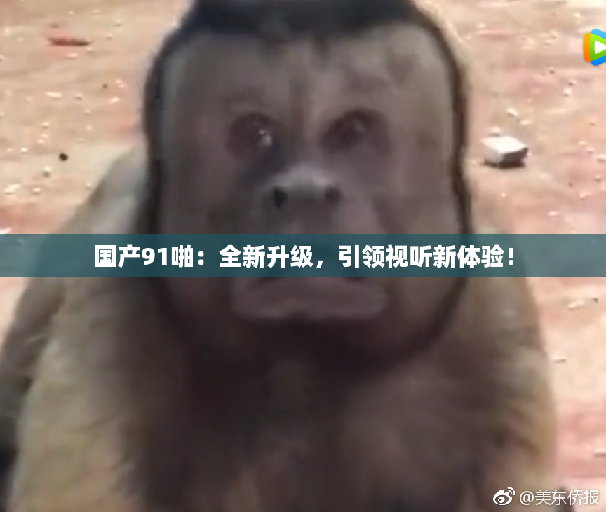 国产91啪：全新升级，引领视听新体验！