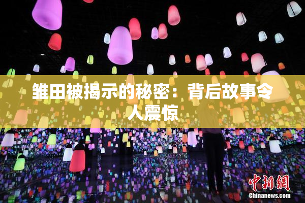 雏田被揭示的秘密：背后故事令人震惊