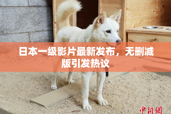 日本一级影片最新发布，无删减版引发热议