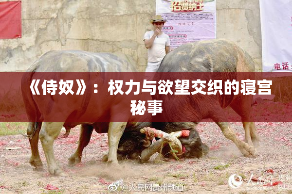 《侍奴》：权力与欲望交织的寝宫秘事