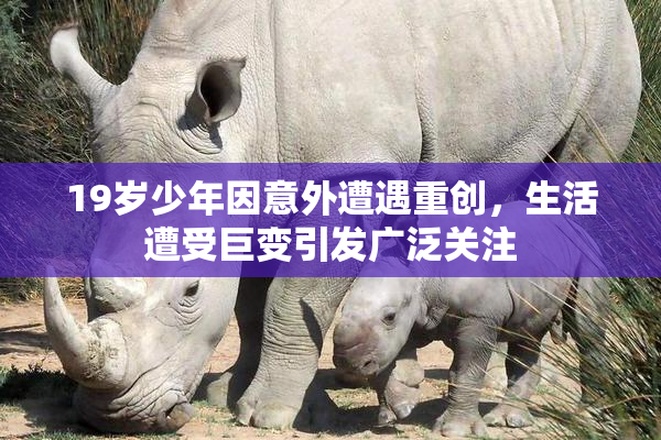 19岁少年因意外遭遇重创，生活遭受巨变引发广泛关注