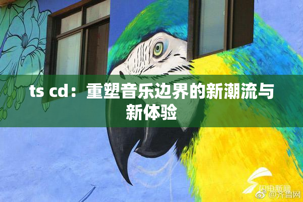 ts cd：重塑音乐边界的新潮流与新体验