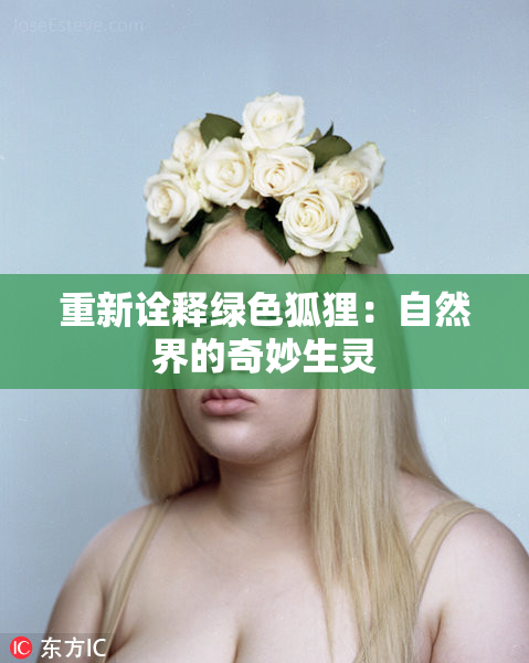 重新诠释绿色狐狸：自然界的奇妙生灵
