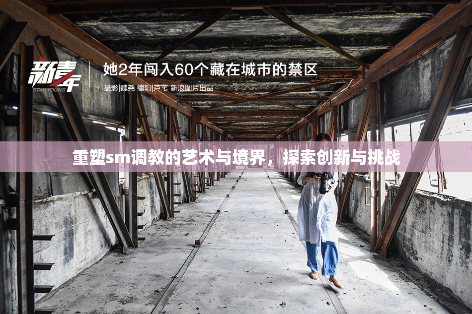 重塑sm调教的艺术与境界，探索创新与挑战
