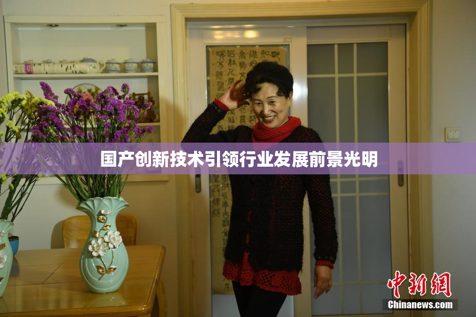 国产创新技术引领行业发展前景光明