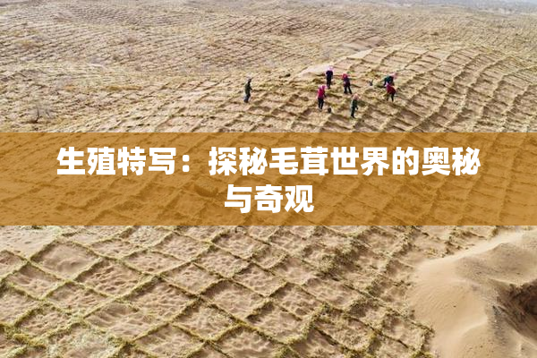 生殖特写：探秘毛茸世界的奥秘与奇观