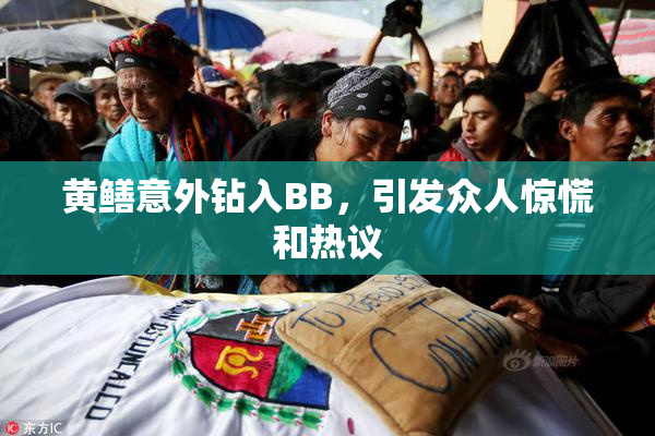 黄鳝意外钻入BB，引发众人惊慌和热议