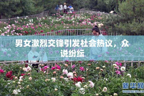 男女激烈交锋引发社会热议，众说纷纭