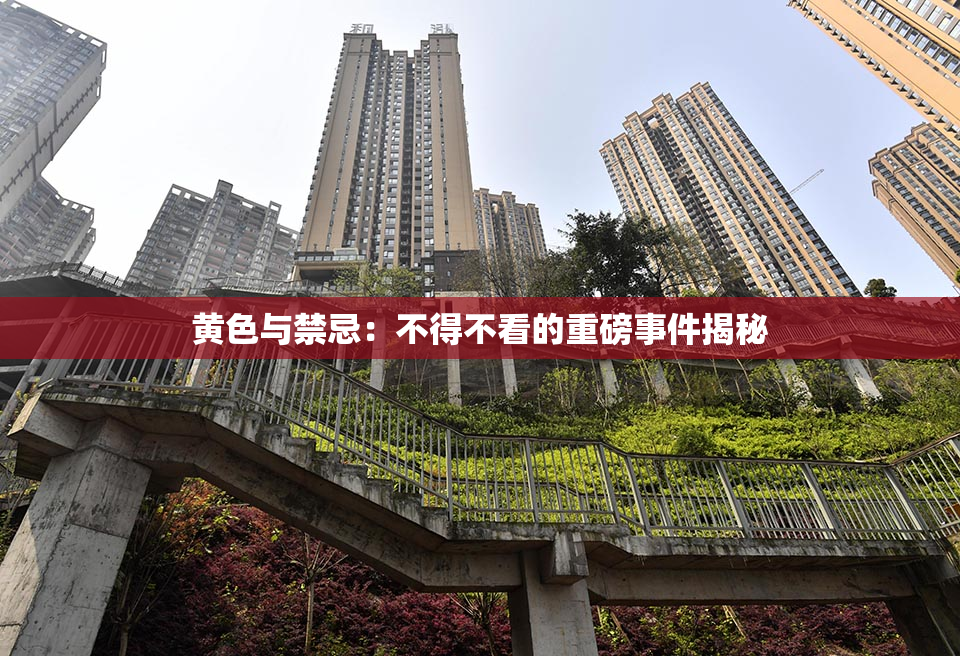 黄色与禁忌：不得不看的重磅事件揭秘