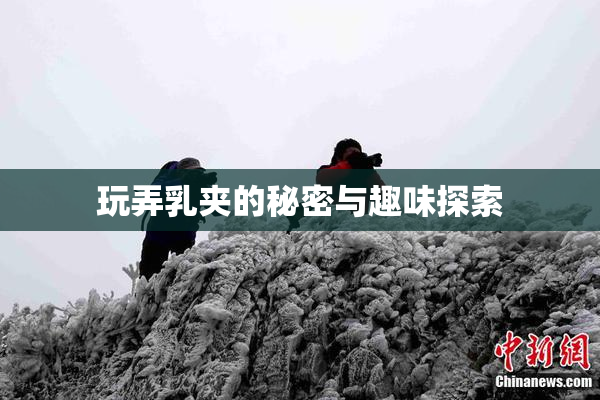 玩弄乳夹的秘密与趣味探索