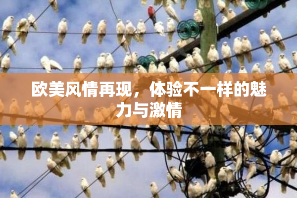 欧美风情再现，体验不一样的魅力与激情