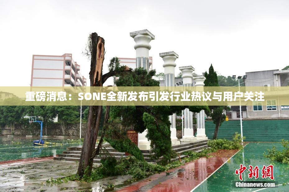 重磅消息：SONE全新发布引发行业热议与用户关注