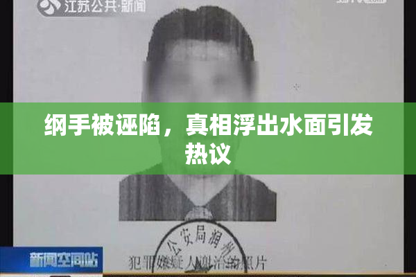 纲手被诬陷，真相浮出水面引发热议