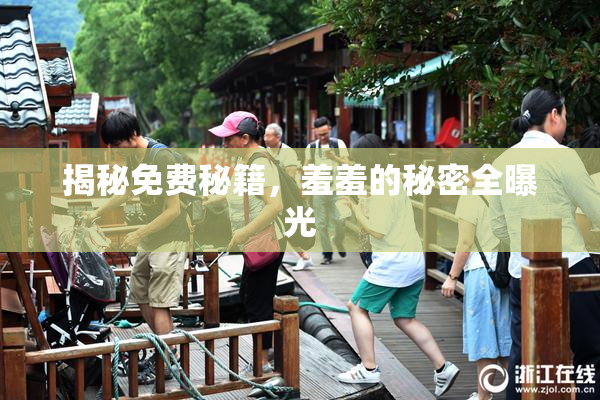 揭秘免费秘籍，羞羞的秘密全曝光