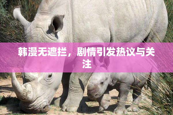韩漫无遮拦，剧情引发热议与关注