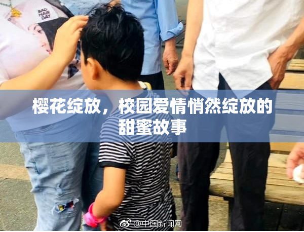 樱花绽放，校园爱情悄然绽放的甜蜜故事