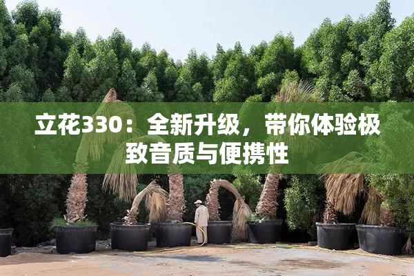 立花330：全新升级，带你体验极致音质与便携性