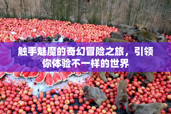 触手魅魔的奇幻冒险之旅，引领你体验不一样的世界