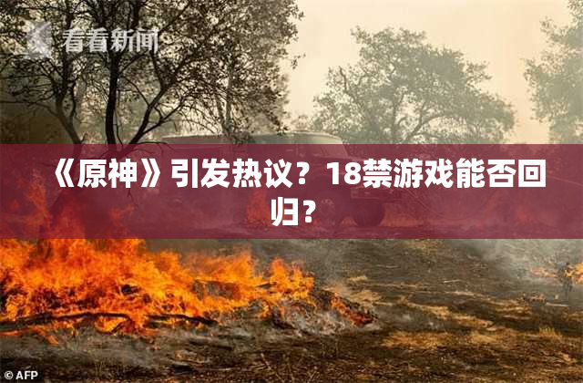 《原神》引发热议？18禁游戏能否回归？