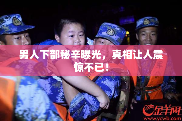 男人下部秘辛曝光，真相让人震惊不已！