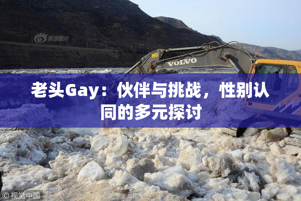 老头Gay：伙伴与挑战，性别认同的多元探讨