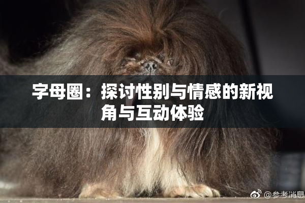 字母圈：探讨性别与情感的新视角与互动体验