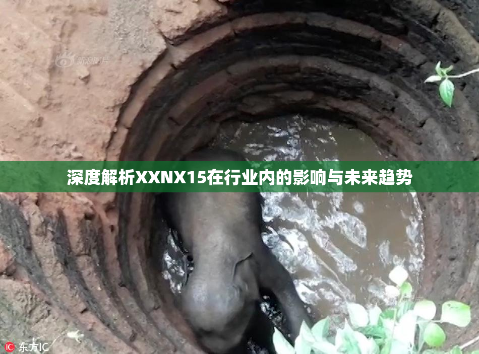 深度解析XXNX15在行业内的影响与未来趋势