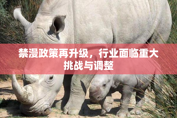 禁漫政策再升级，行业面临重大挑战与调整