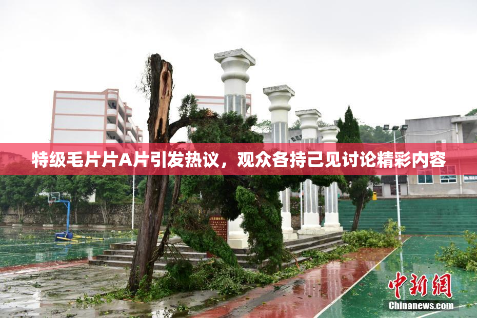 特级毛片片A片引发热议，观众各持己见讨论精彩内容
