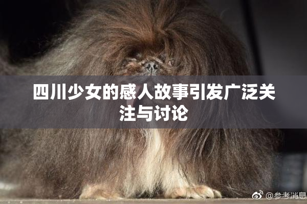 四川少女的感人故事引发广泛关注与讨论