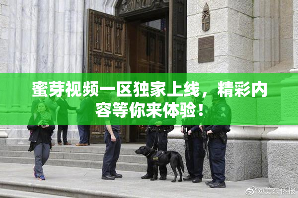 蜜芽视频一区独家上线，精彩内容等你来体验！