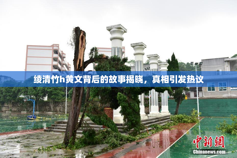 绫清竹h黄文背后的故事揭晓，真相引发热议