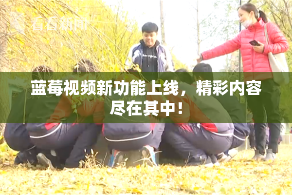 蓝莓视频新功能上线，精彩内容尽在其中！